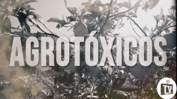Agrotóxicos, a morte lenta e gradual