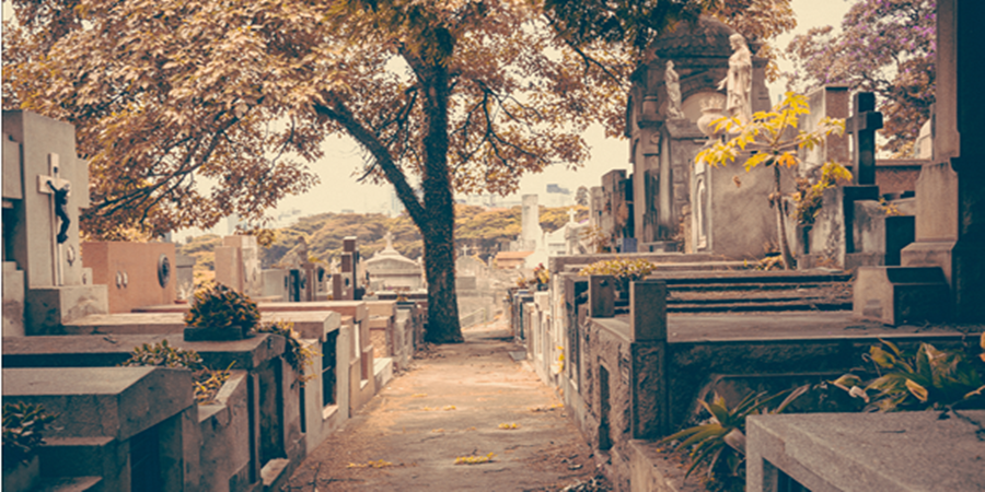Decisão do TJSP reconhece falha grave na gestão do cemitério e determina indenização à família. / Ilustração Cortesia Editorial Ideia
